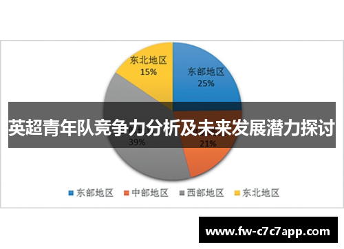 英超青年队竞争力分析及未来发展潜力探讨
