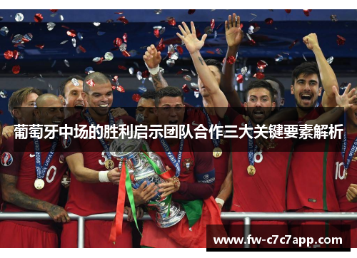 葡萄牙中场的胜利启示团队合作三大关键要素解析