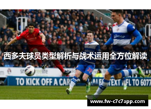 西多夫球员类型解析与战术运用全方位解读