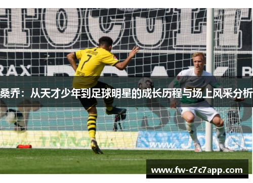 桑乔:从天才少年到足球明星的成长历程与场上风采分析 桑乔:从天才少年到足球明星的成长历程与场上风采分析