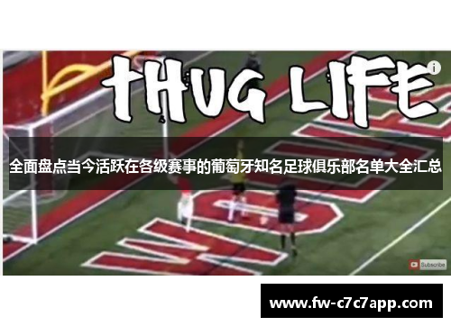 全面盘点当今活跃在各级赛事的葡萄牙知名足球俱乐部名单大全汇总