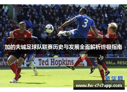 加的夫城足球队联赛历史与发展全面解析终极指南