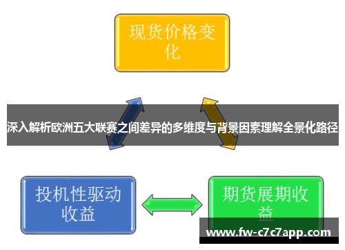 深入解析欧洲五大联赛之间差异的多维度与背景因素理解全景化路径 深入解析欧洲五大联赛之间差异的多维度与背景因素理解全景化路径